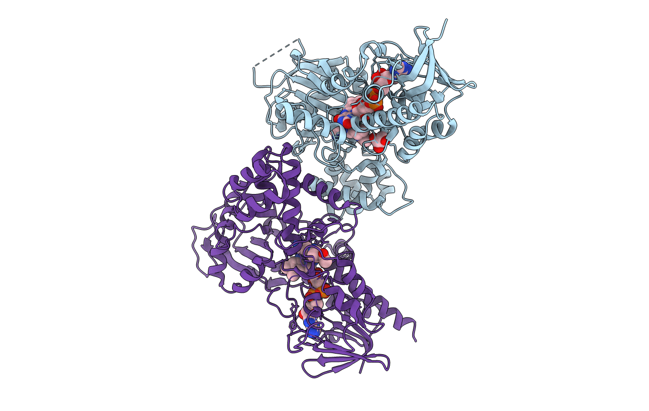 3CNP image