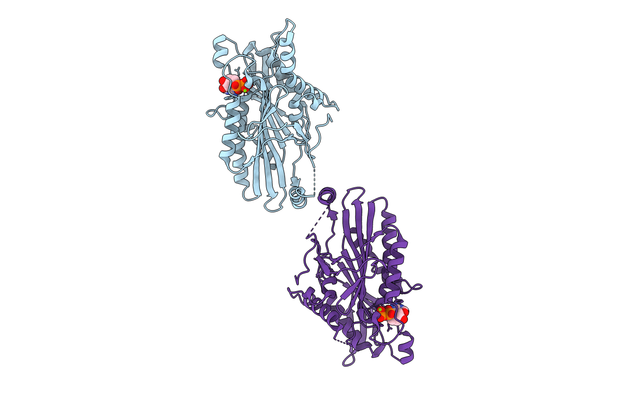 3COB image