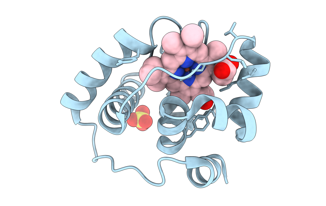 3CP5 image