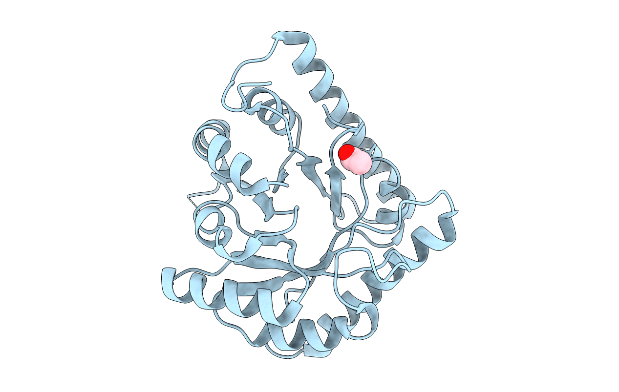 3CPG image