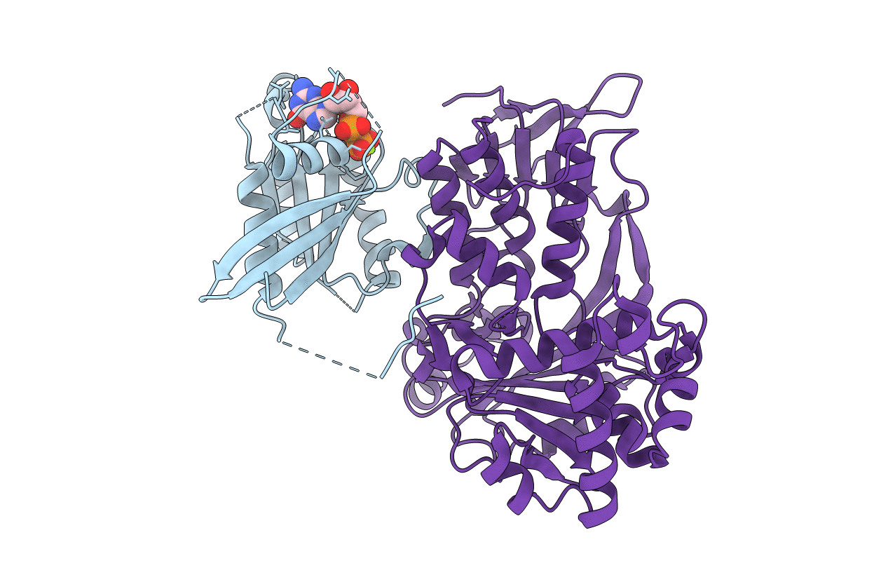 3CPJ image
