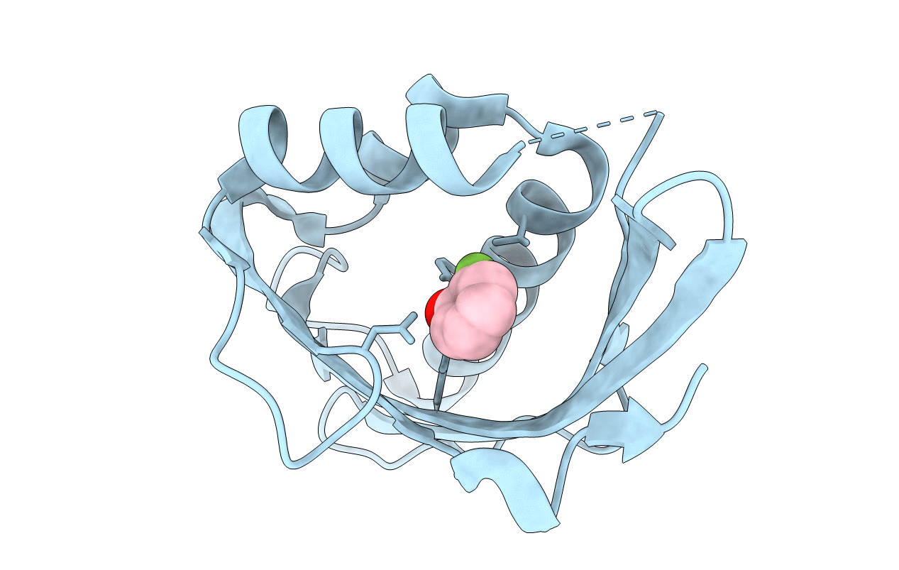 3CPO image