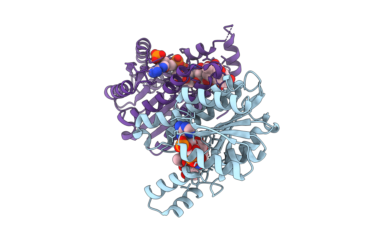 3CSD image