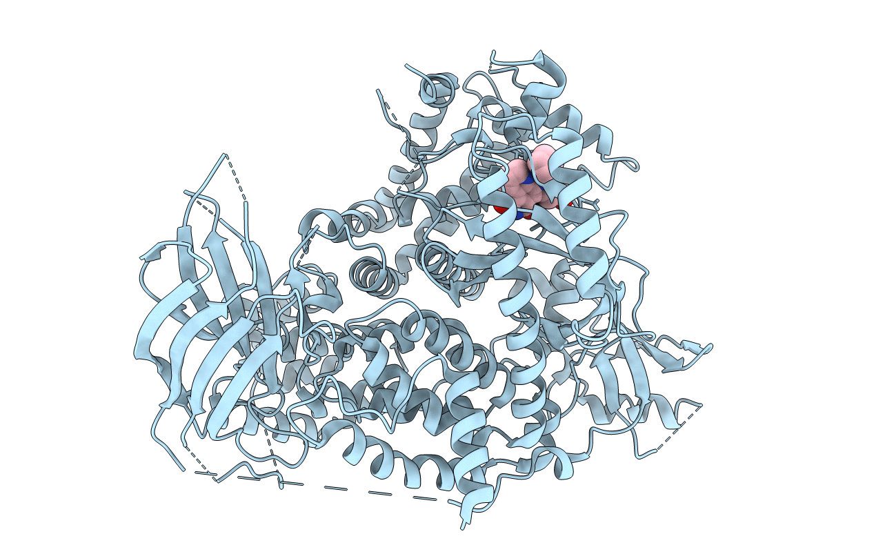 3CSF image