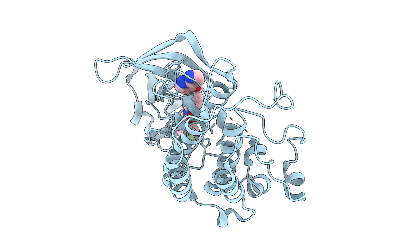 3CTJ image