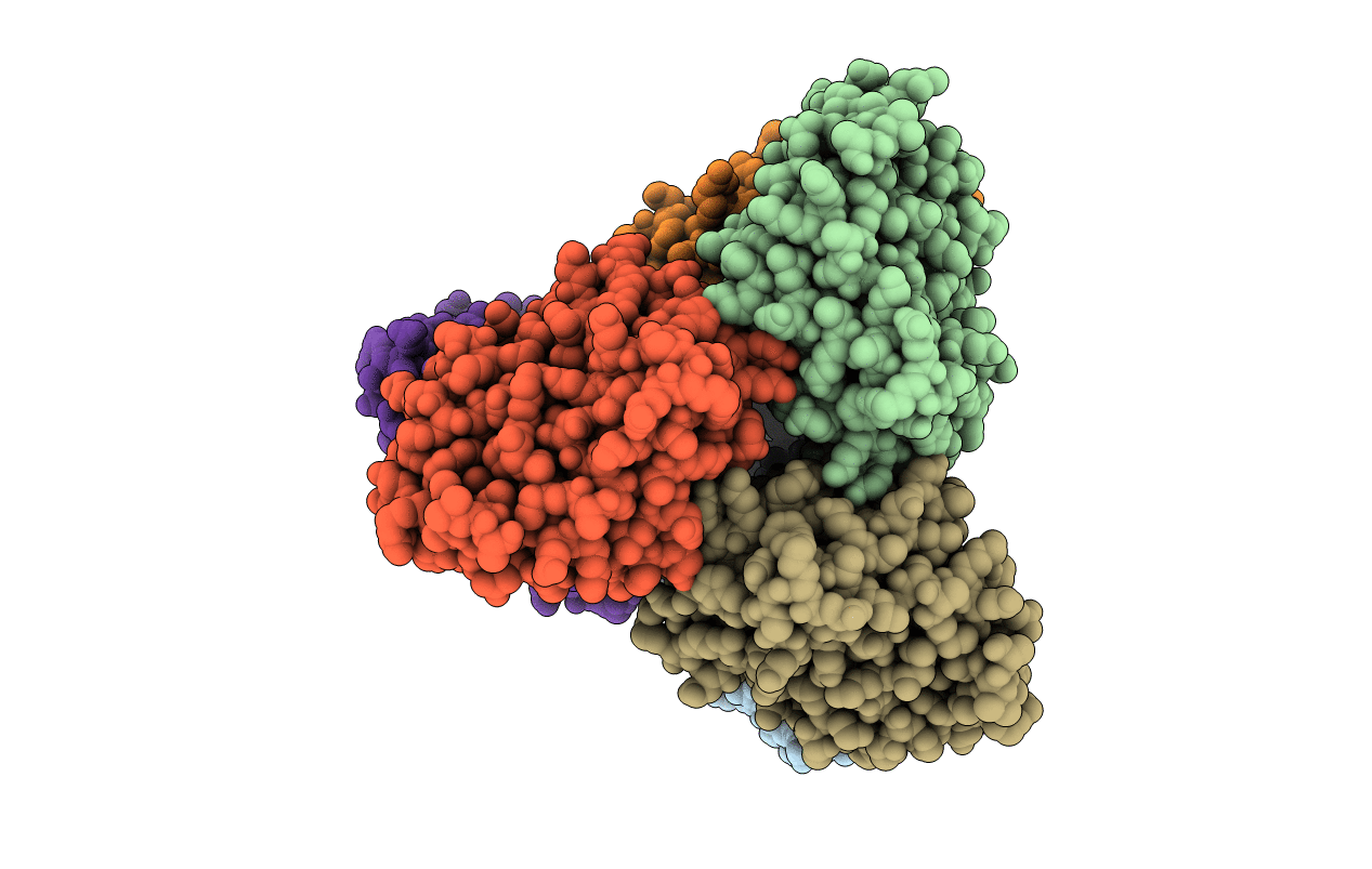 3CTL image