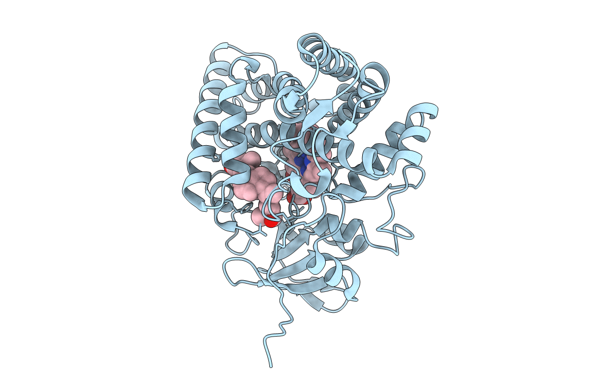 3CV9 image