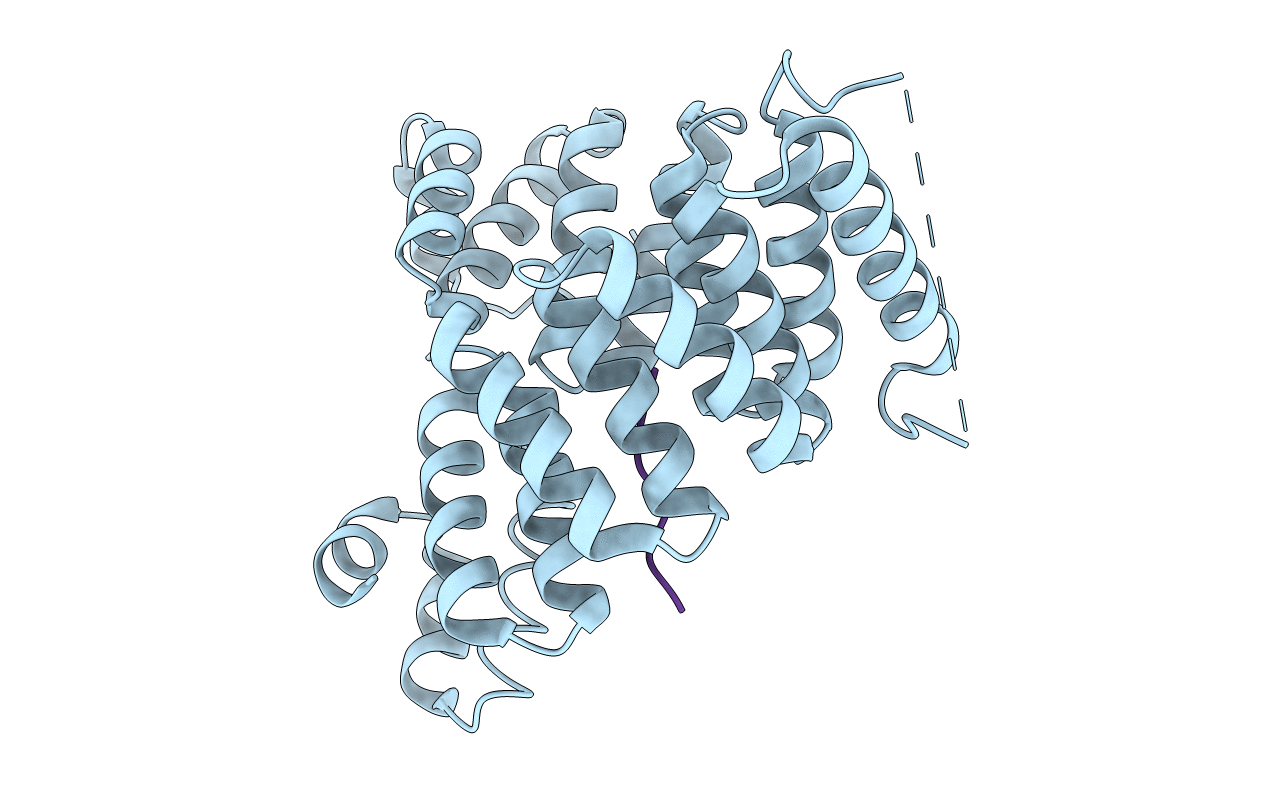 3CVP image