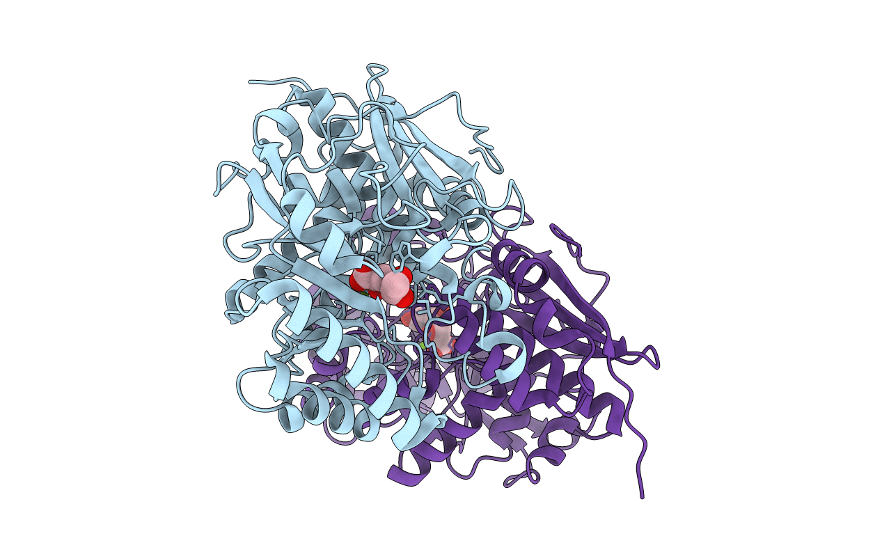 3CXO image