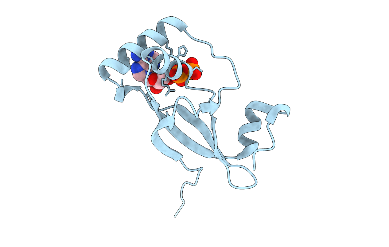 3CYI image