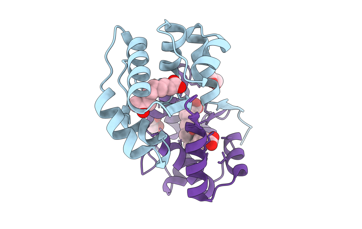 3CYZ image