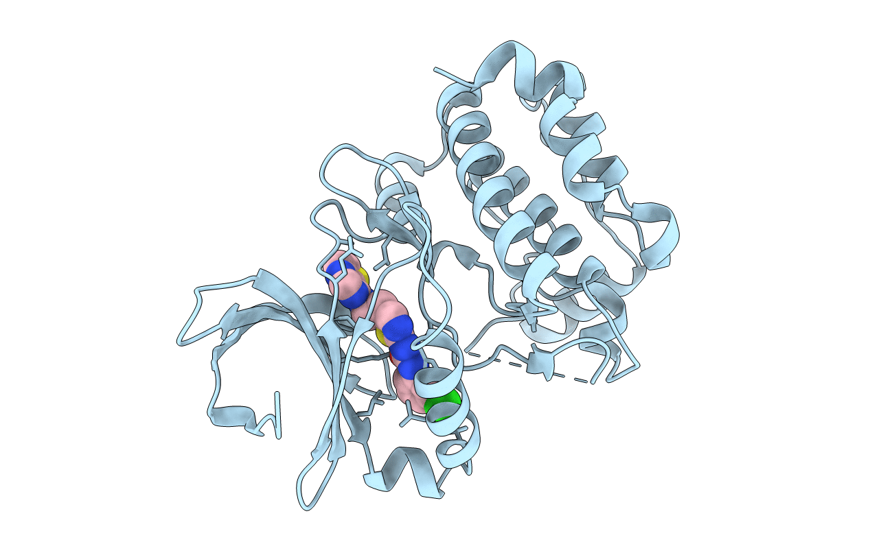 3D15 image