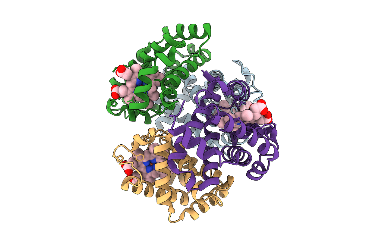 3D1A image