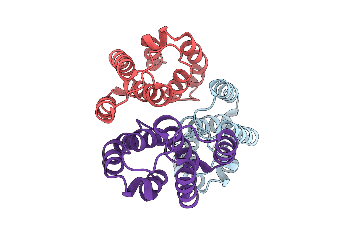 3D1B image