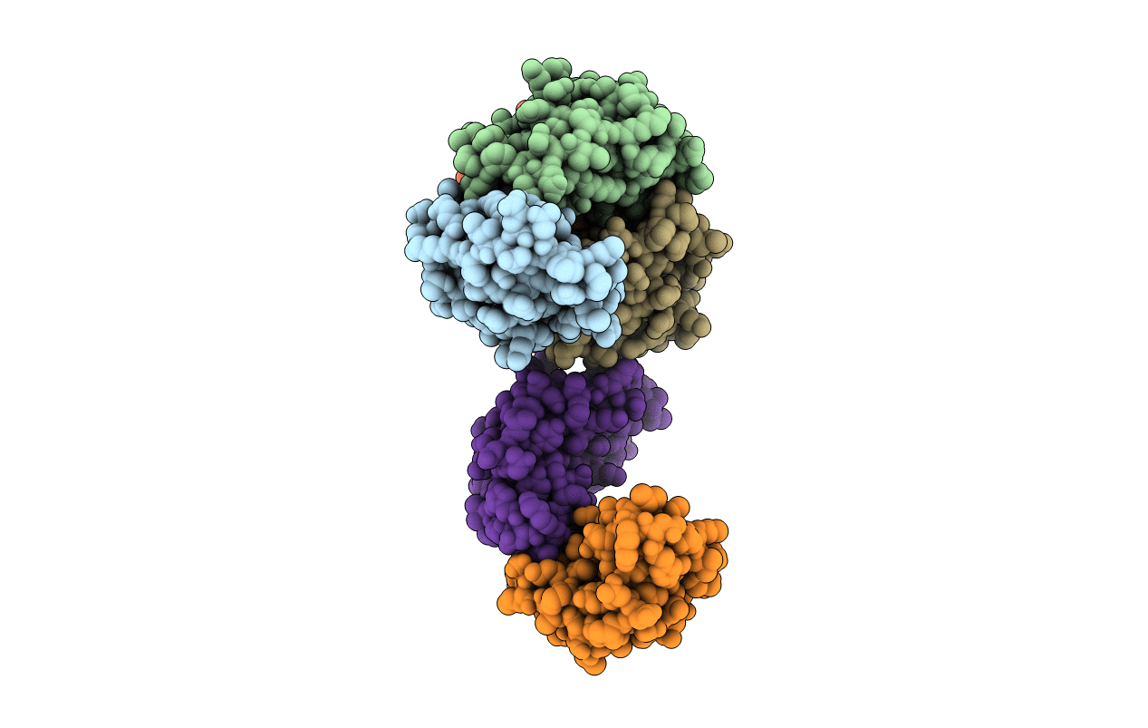 3D1D image
