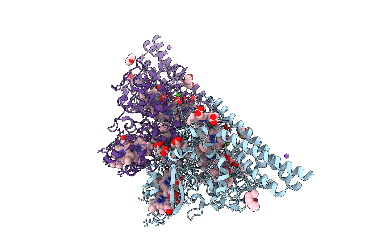 3D1I image