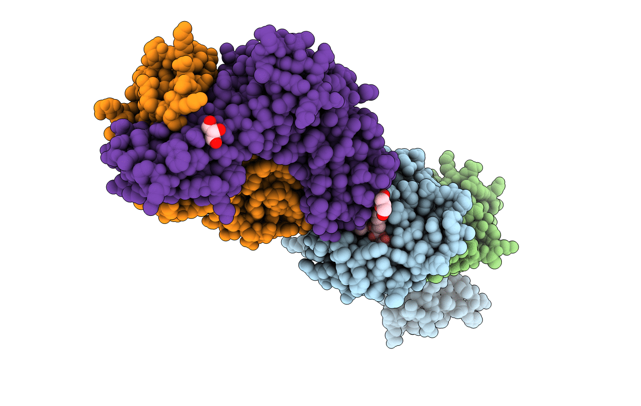 3D39 image