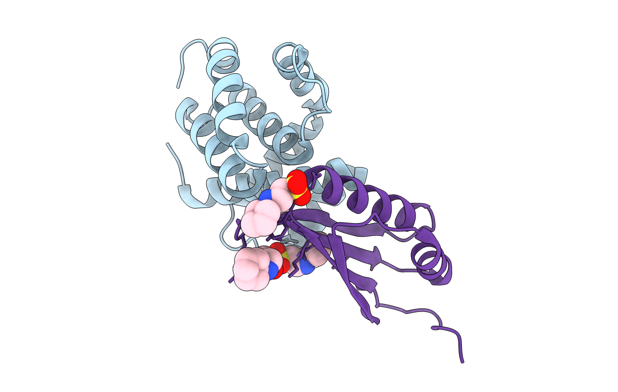 3D3B image