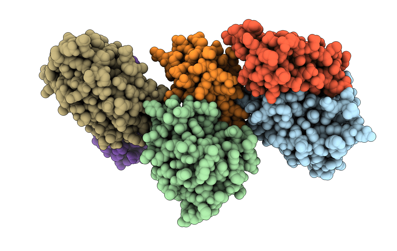 3D3C image