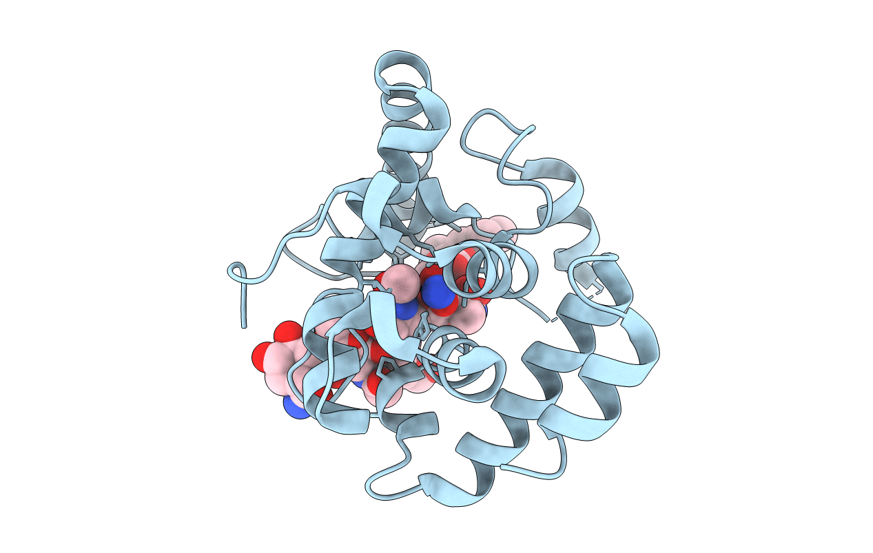 3D3H image