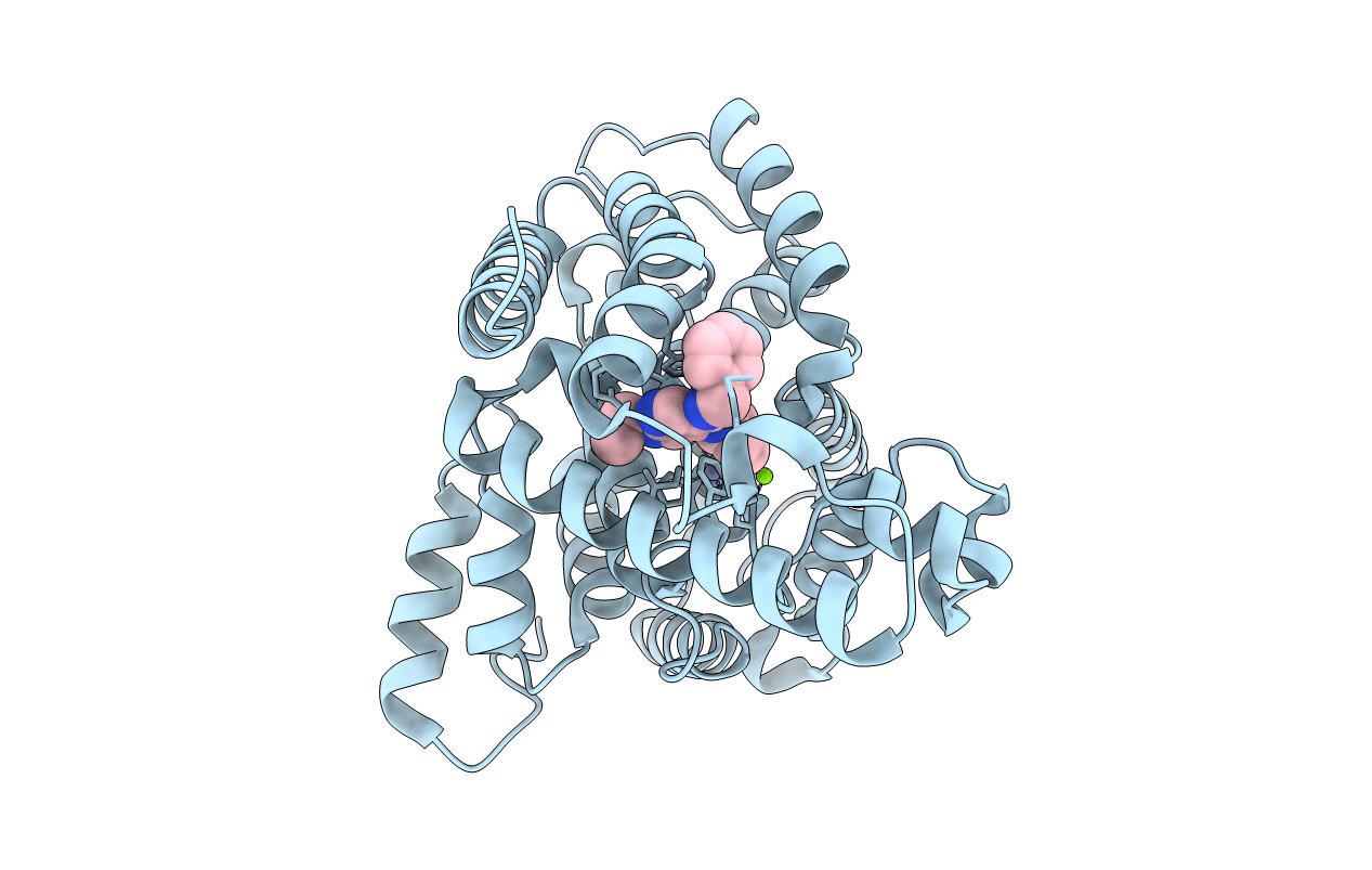 3D3P image