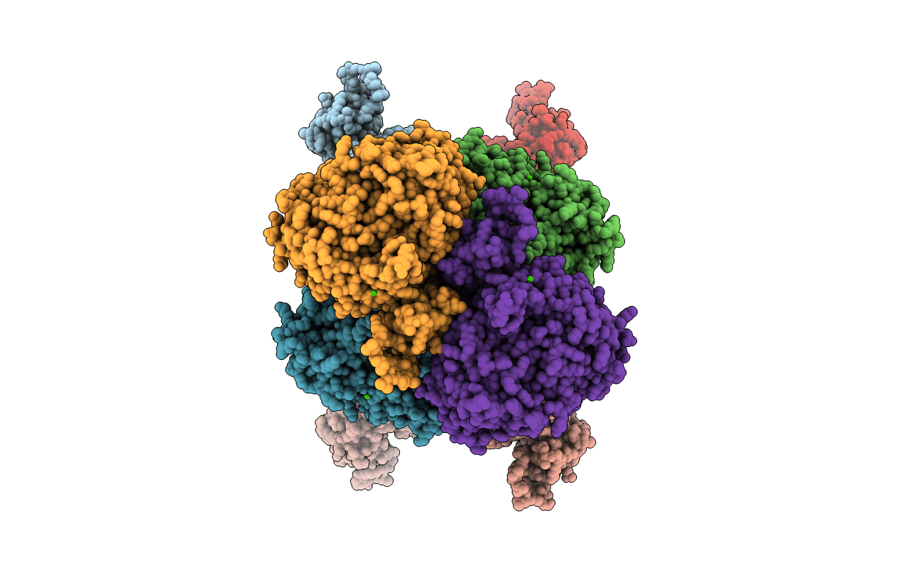 3D4G image