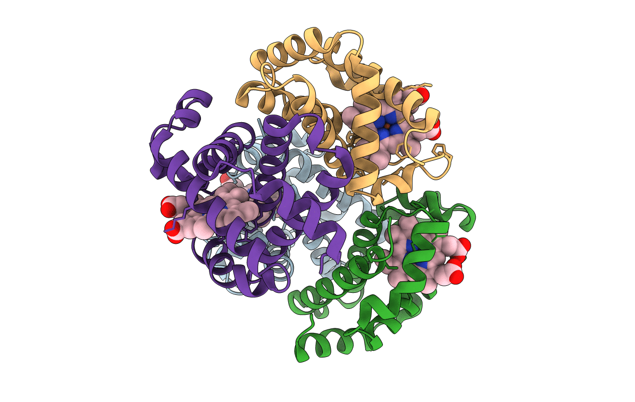 3D4X image