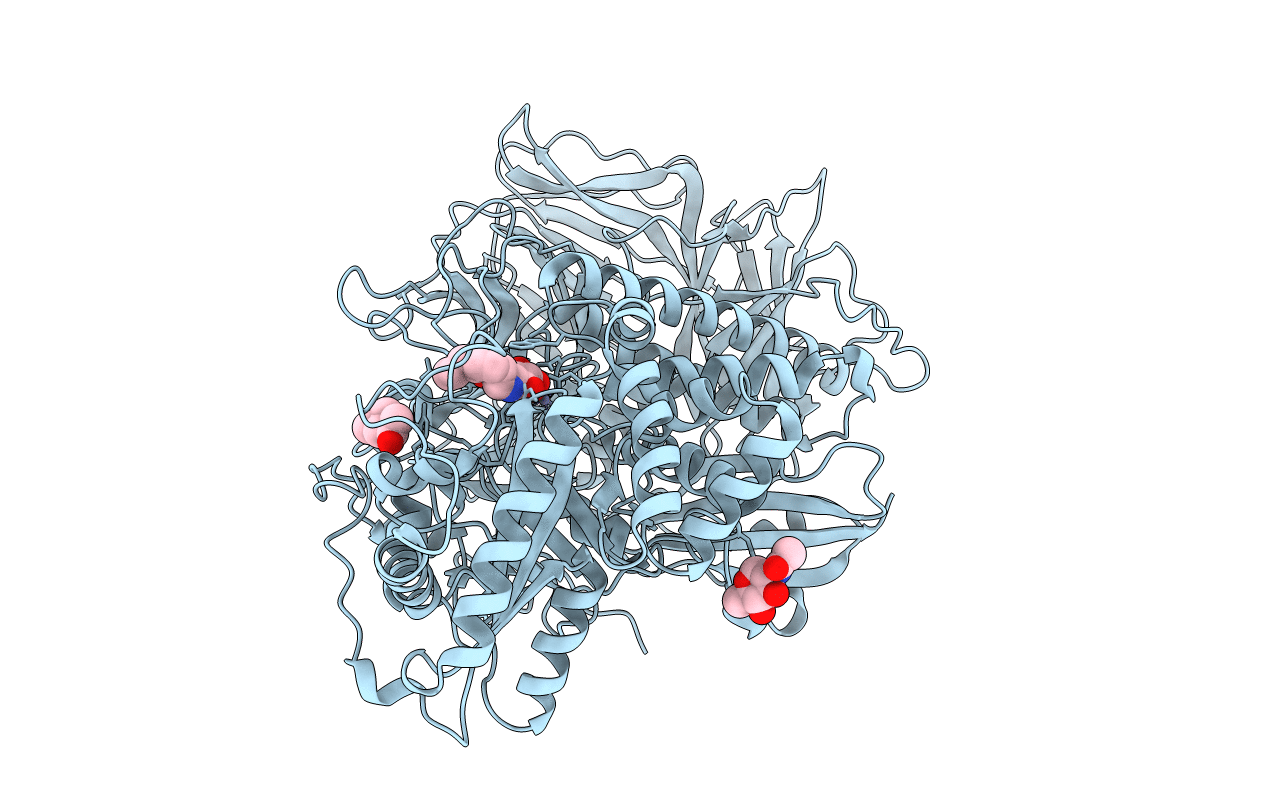 3D50 image