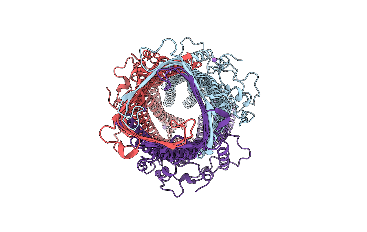 3D5K image