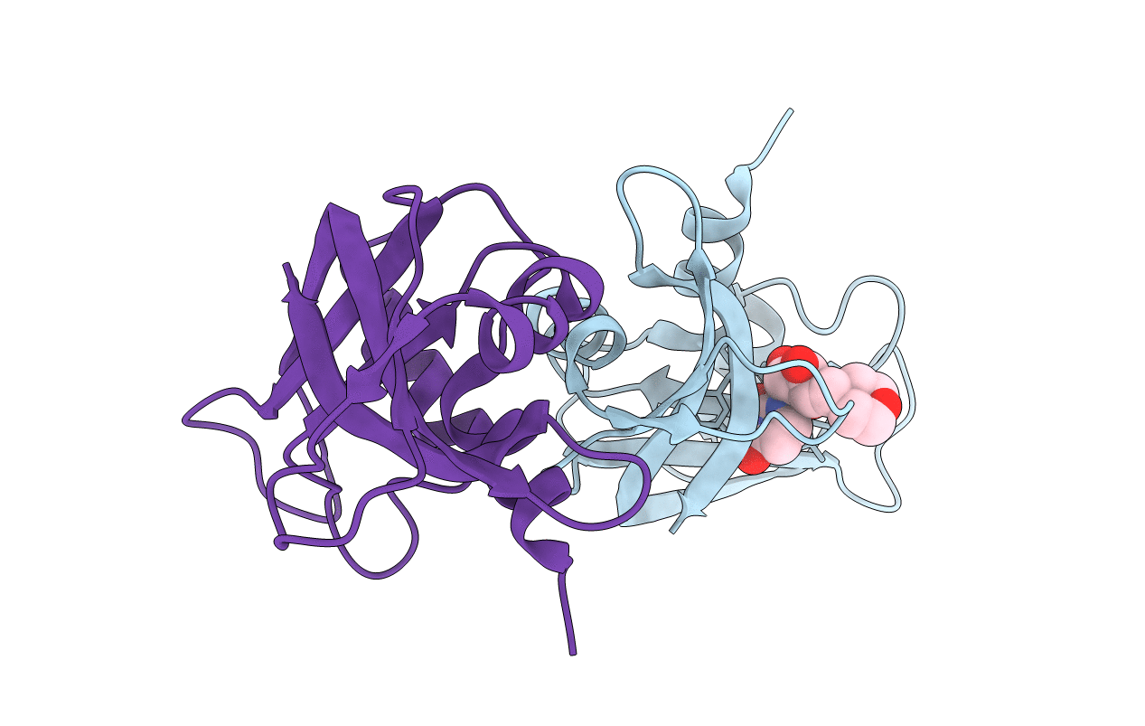 3D6P image