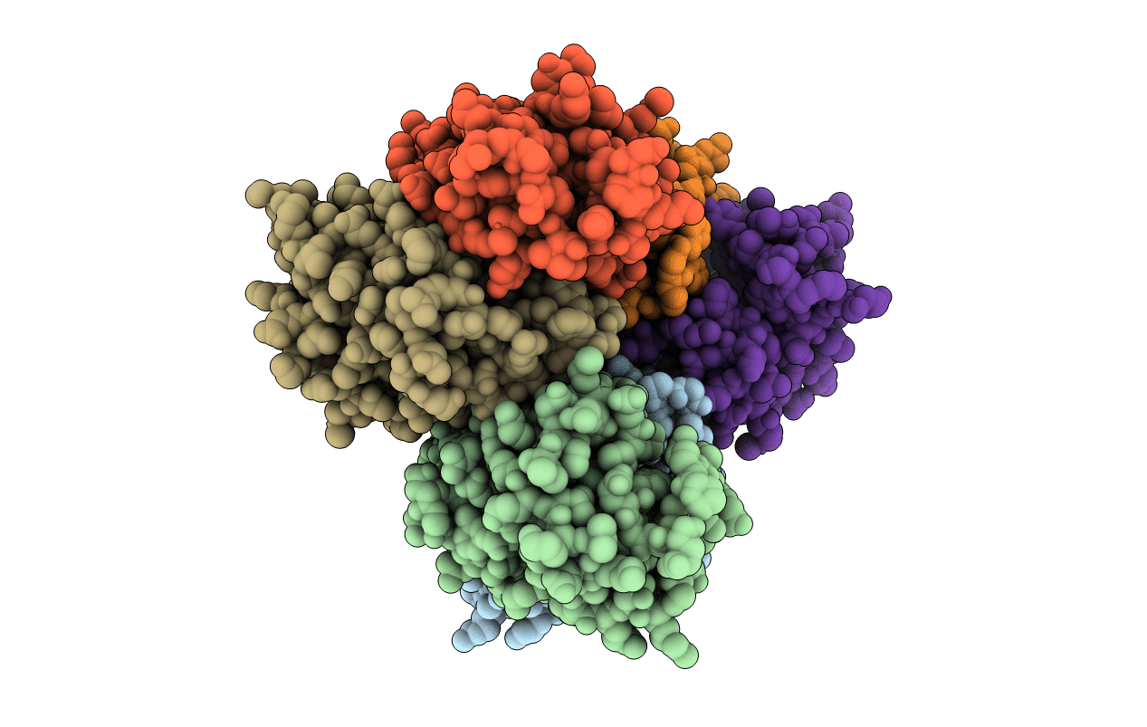 3D6X image