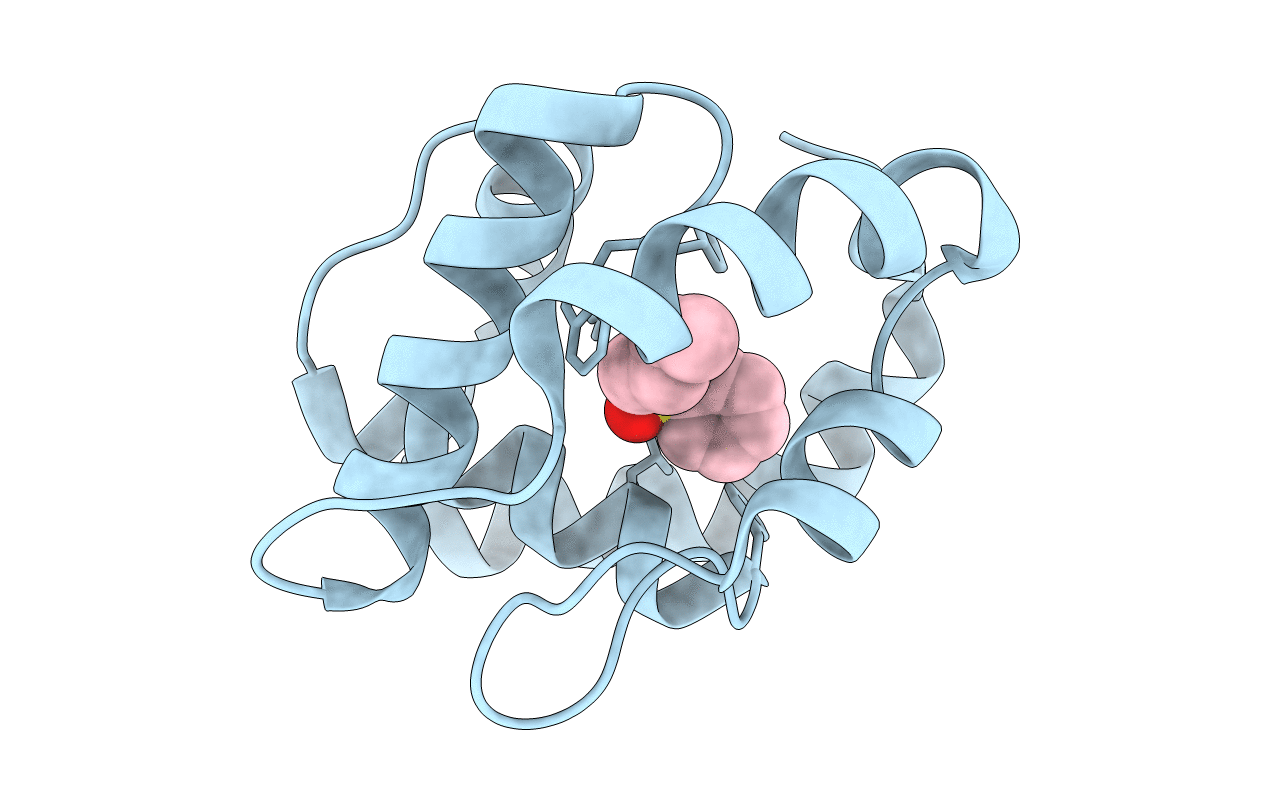 3D75 image