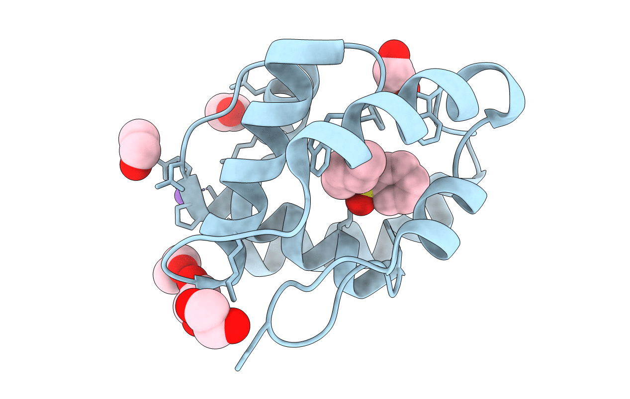 3D76 image
