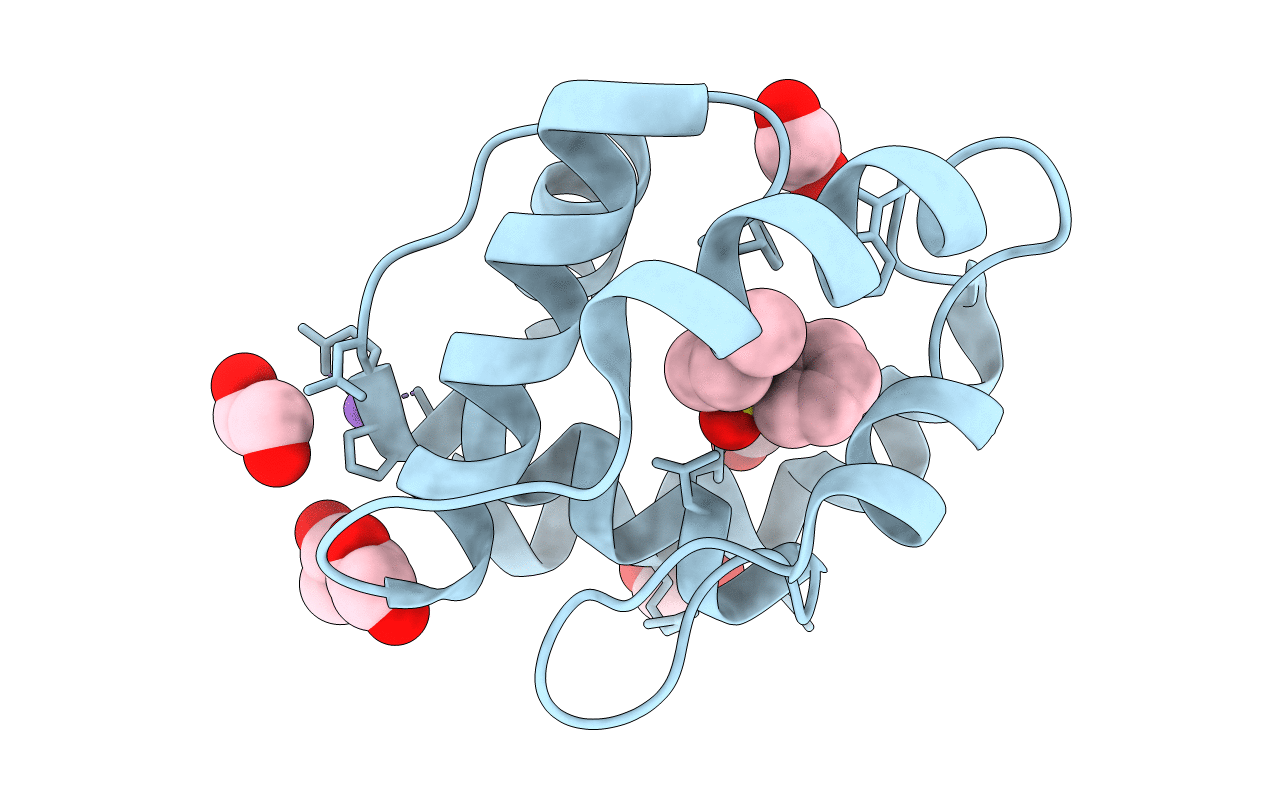 3D77 image