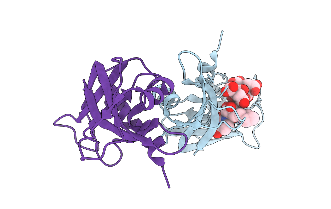 3D7B image