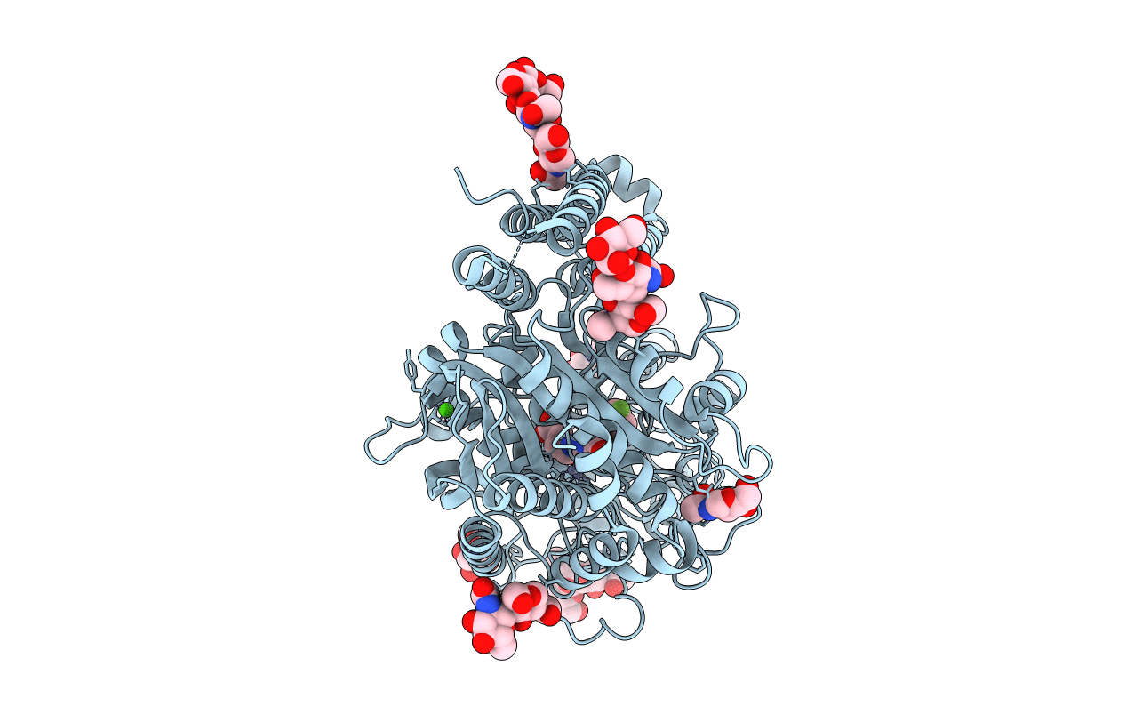 3D7D image