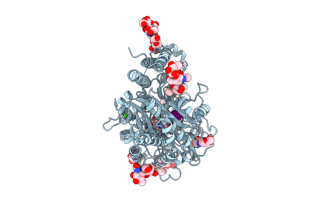 3D7H image