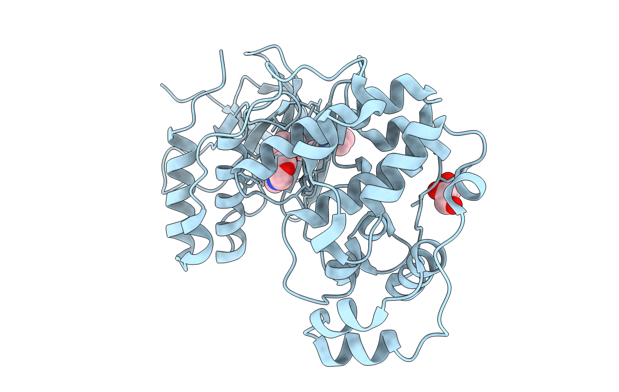 3D83 image
