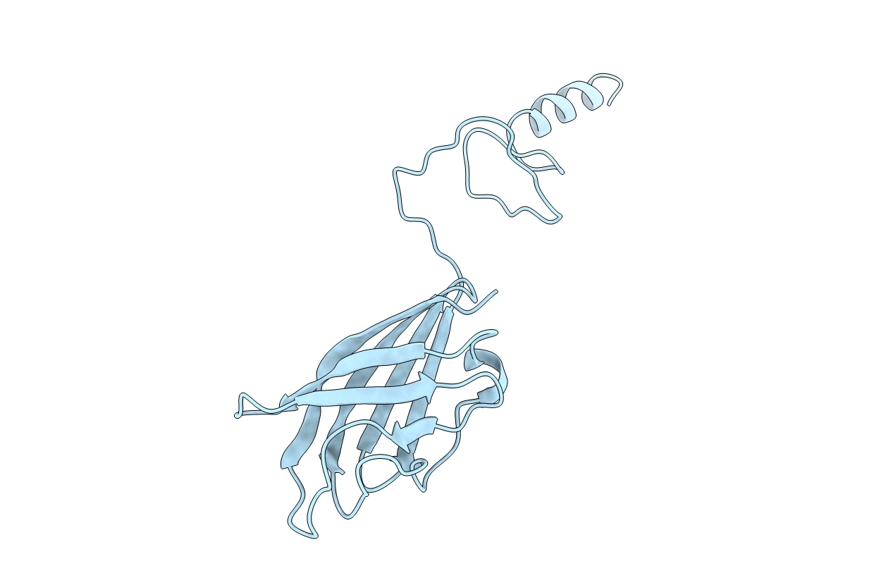 3D8M image