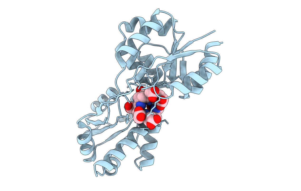 3D8N image