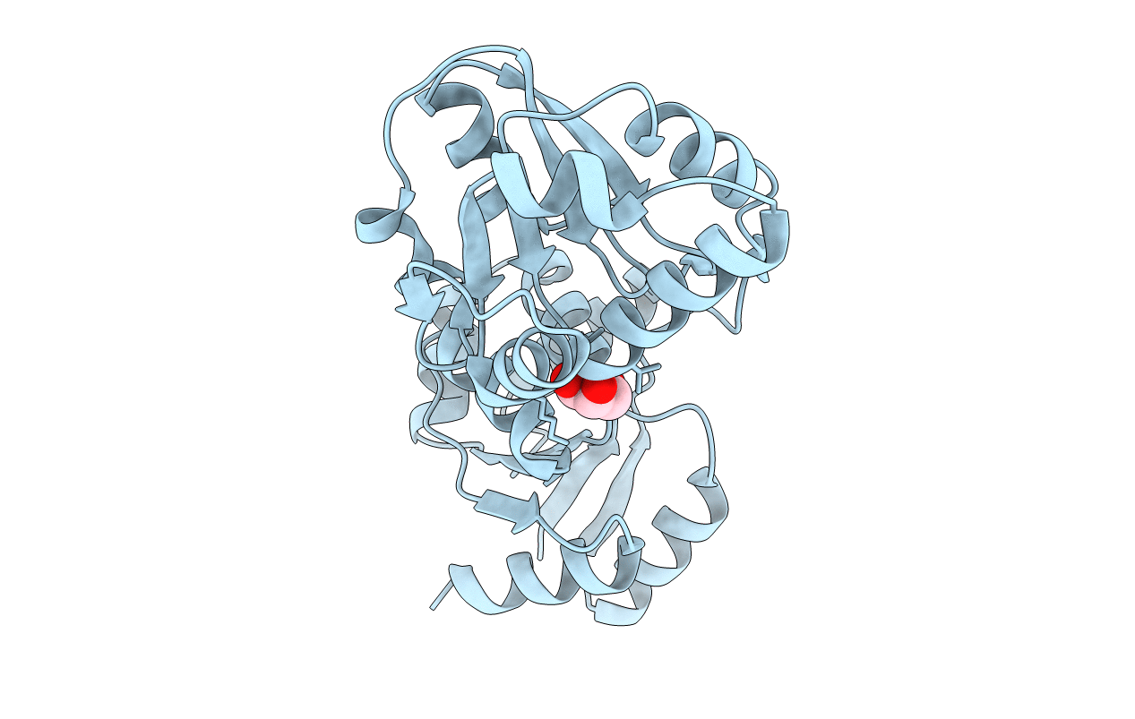 3D8S image