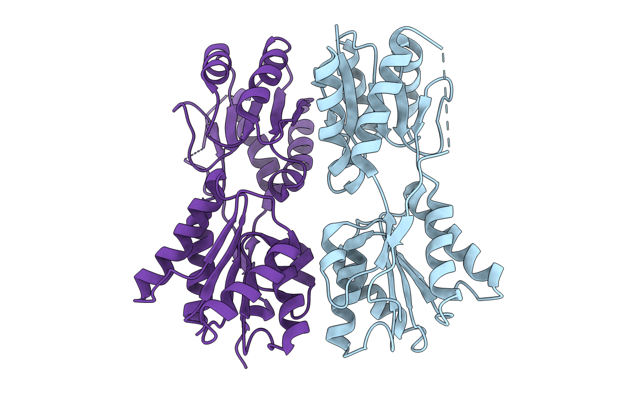 3D8U image