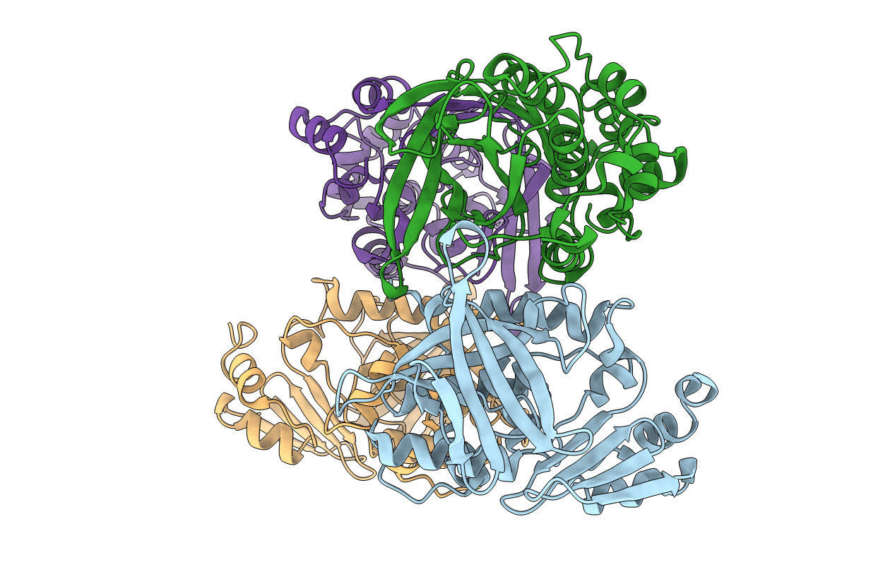 3D9W image