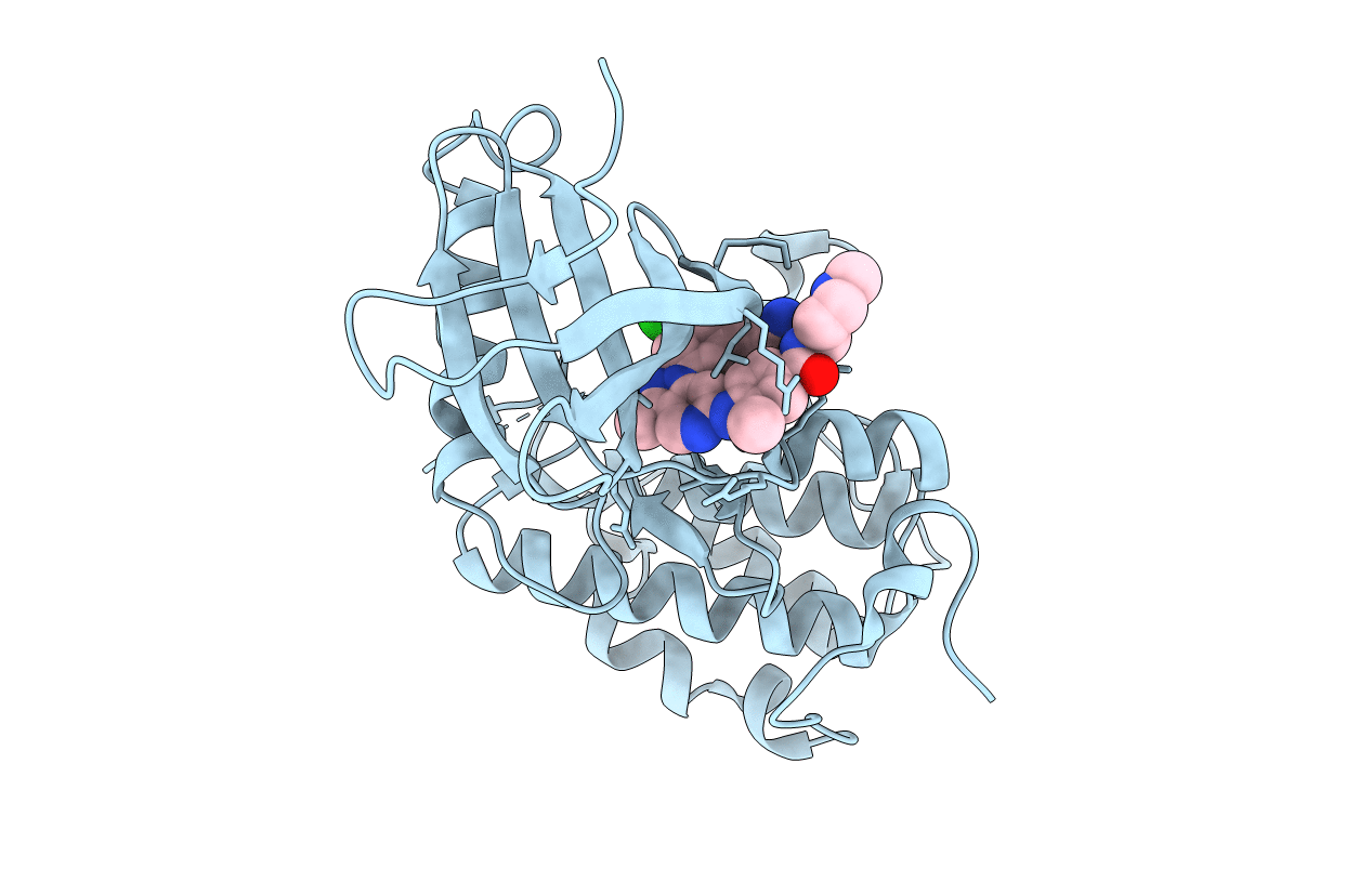 3DBF image