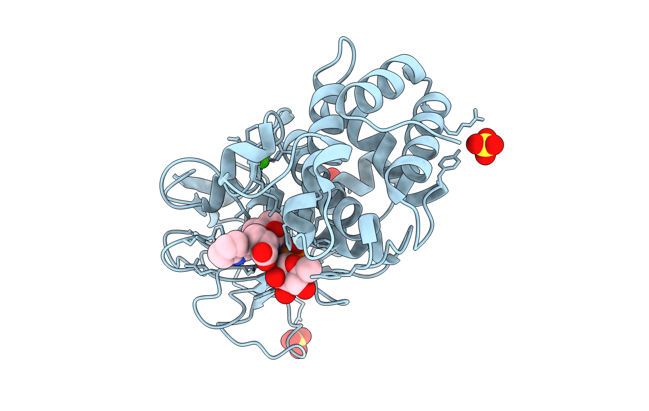 3DBK image