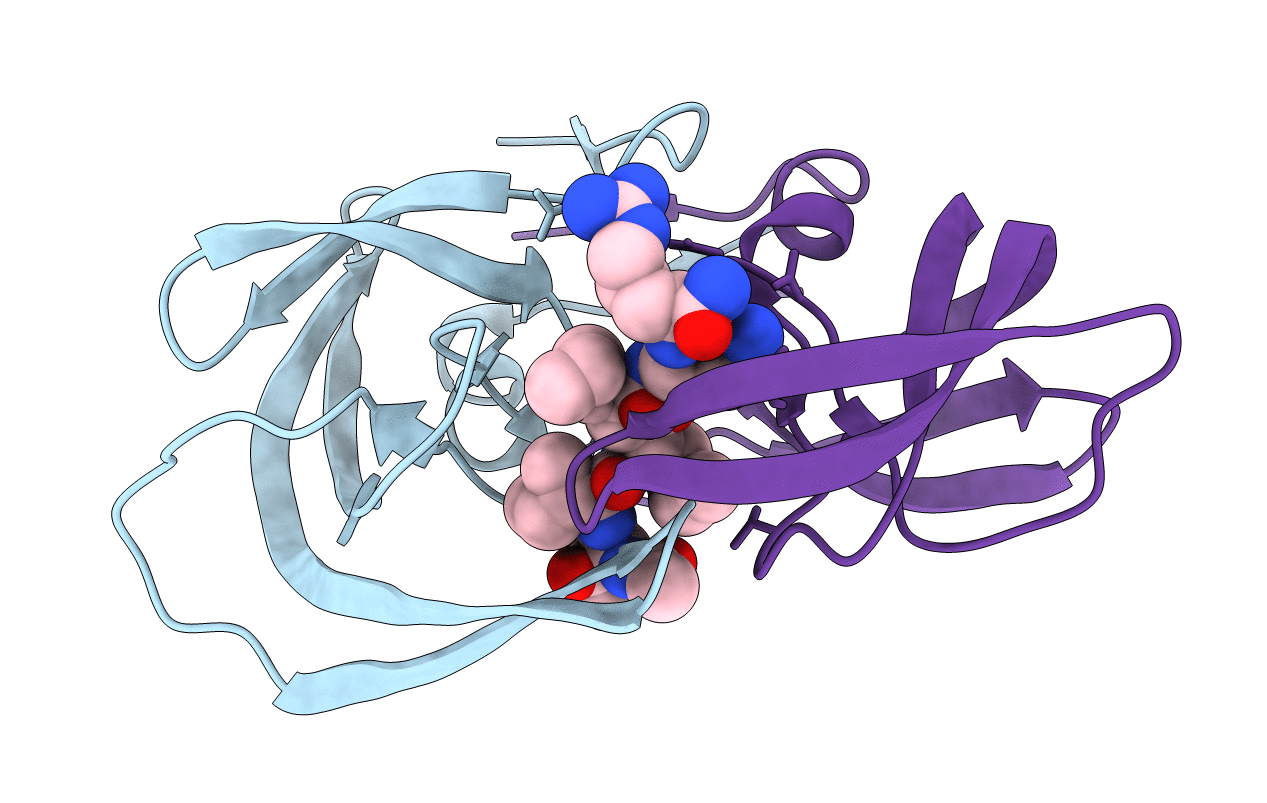 3DCR image