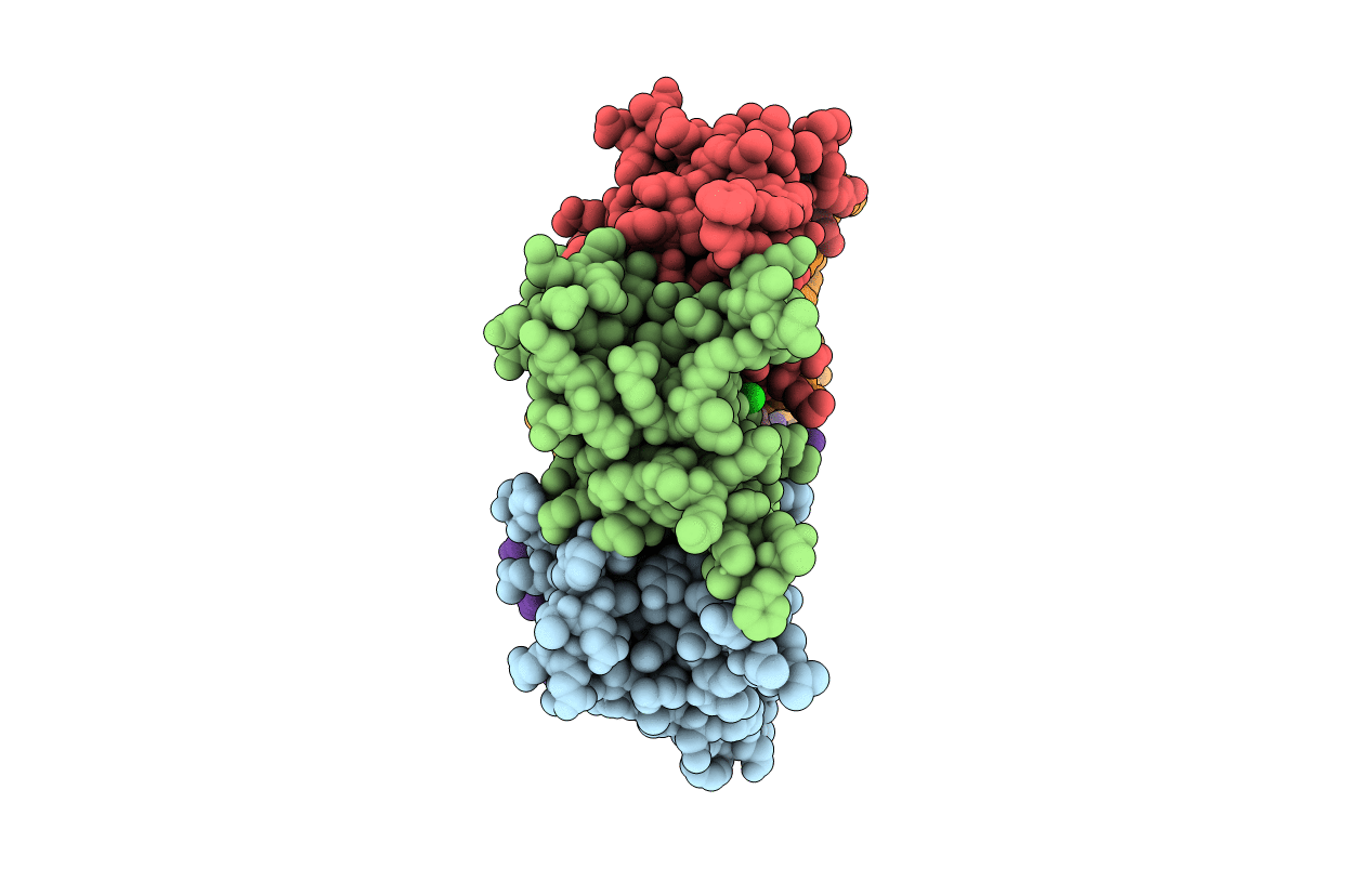 3DCX image