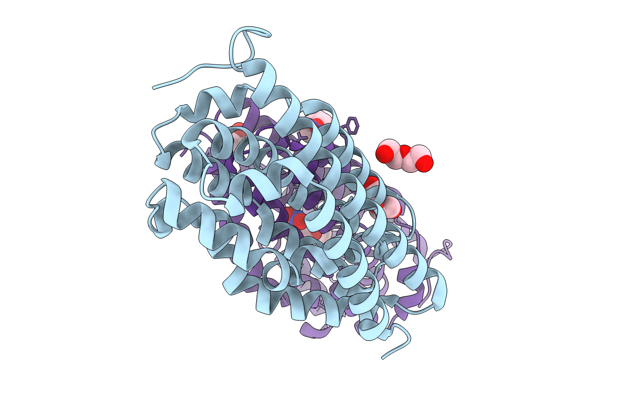 3DDE image