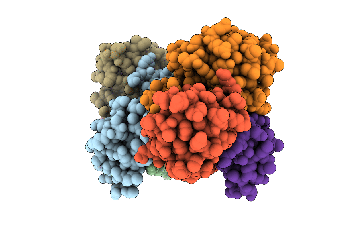 3DFE image