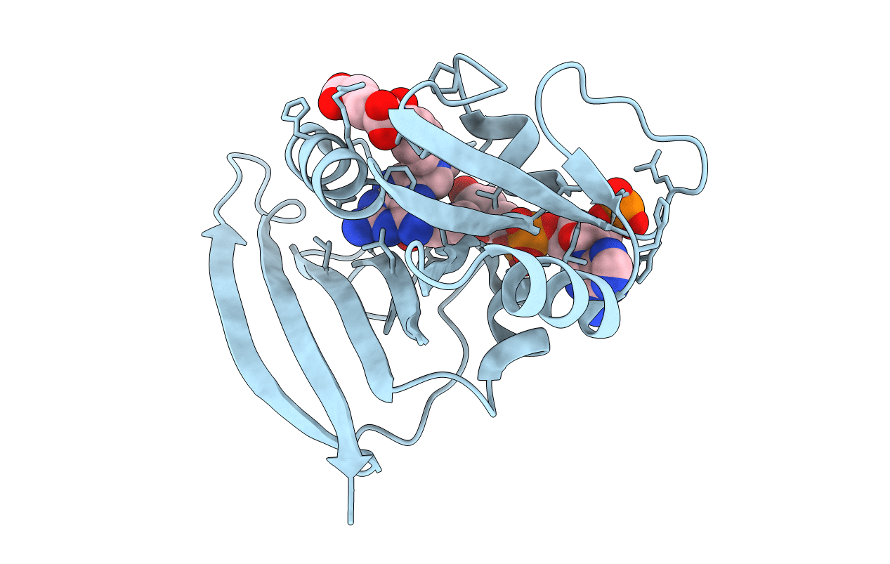 3DFR image